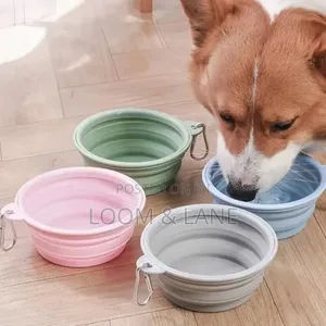 Collapsible Dog Bowl for Cats Dogs