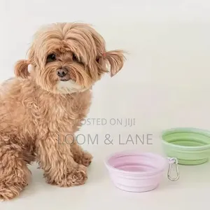 Collapsible Dog Bowl for Cats Dogs