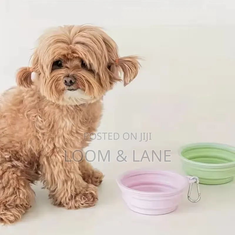 Collapsible Dog Bowl for Cats Dogs