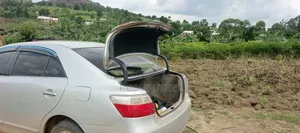 Toyota Premio 1.8 FWD 2008 Silver
