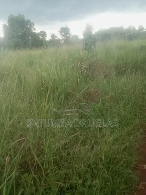Cheap Land for Sale
