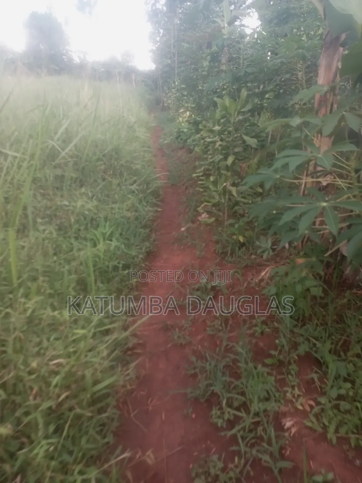 Cheap Land for Sale