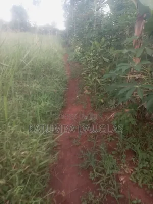 Cheap Land for Sale
