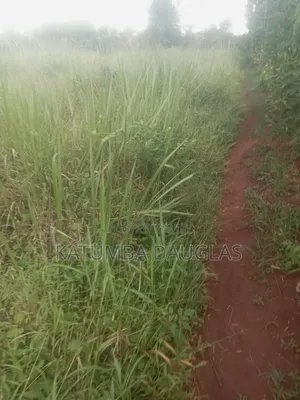 Cheap Land for Sale