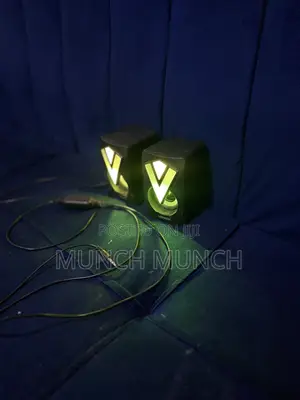 Mini Computer Speakers