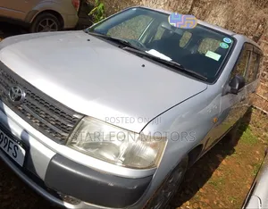 Toyota Probox 2010 Silver