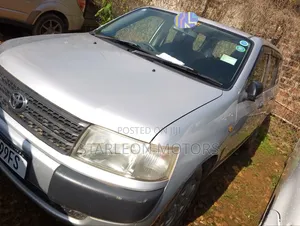 Toyota Probox 2010 Silver