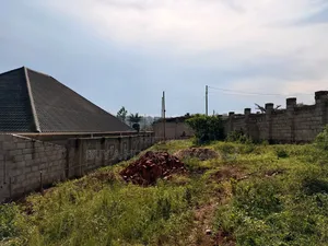 Kira Kito Mamerito Road 12decimals 50×100feet Titled Plot on Sale