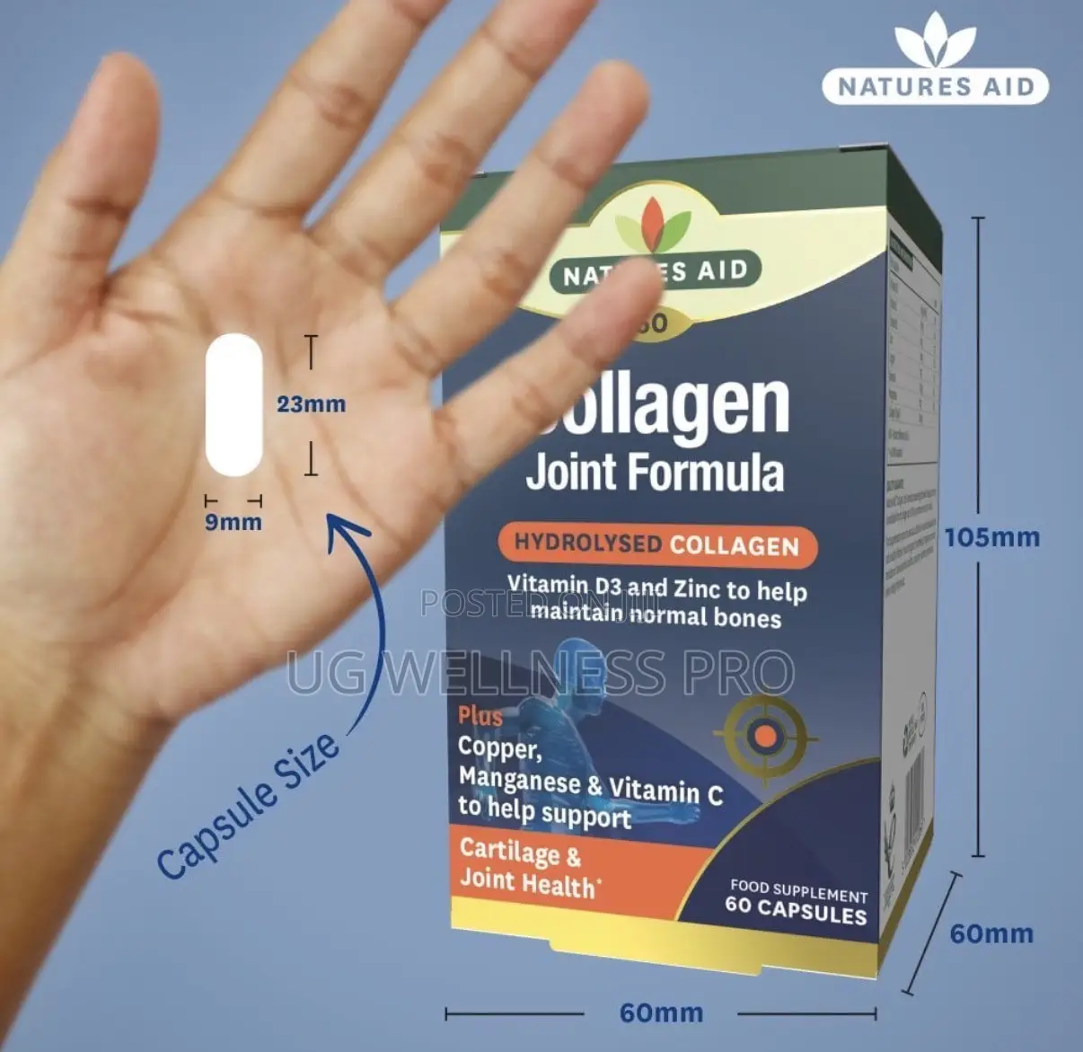 Collagen Joint Formula (60 Caps) - Hydrolysed Type II Marine Collagen