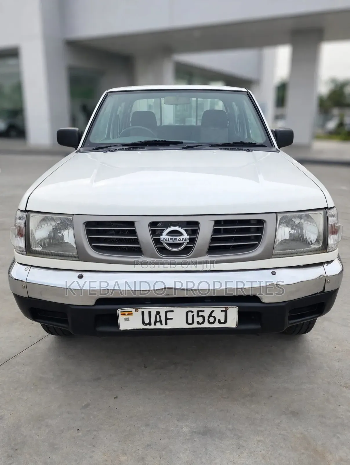 Nissan Hardbody 2002 White