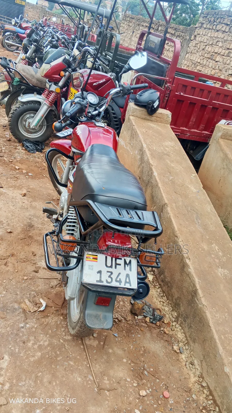TVS HLX 125 2023 Red