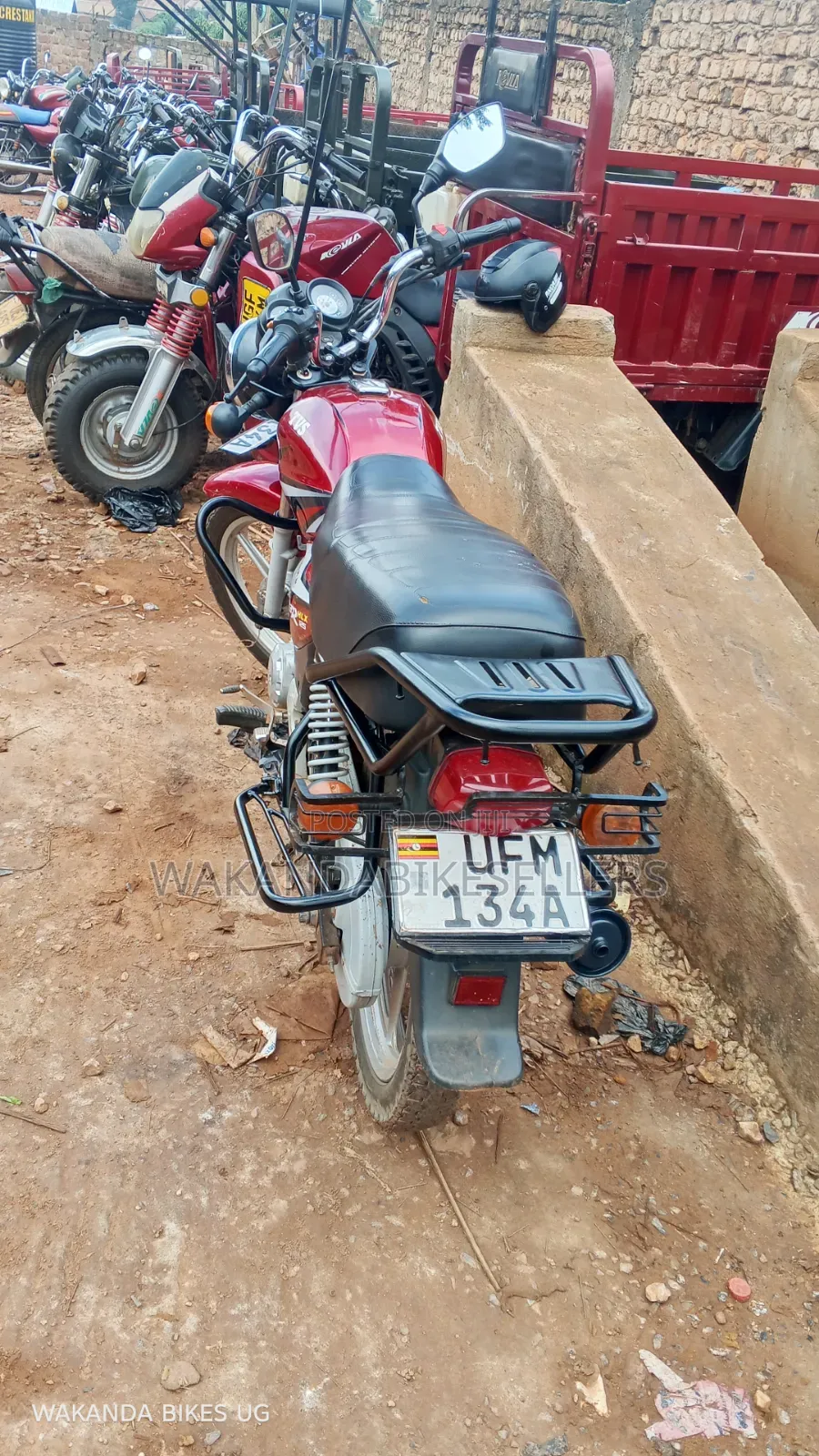 TVS HLX 125 2023 Red
