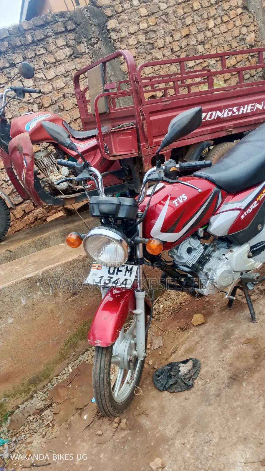 TVS HLX 125 2023 Red