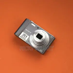 Sony Cyber-Shot DSC-W810 Digital Compact Camera