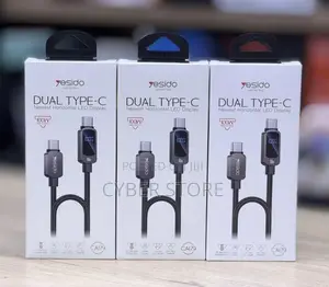 Dual Type-C to Type-C 100W Fast Charging Cable