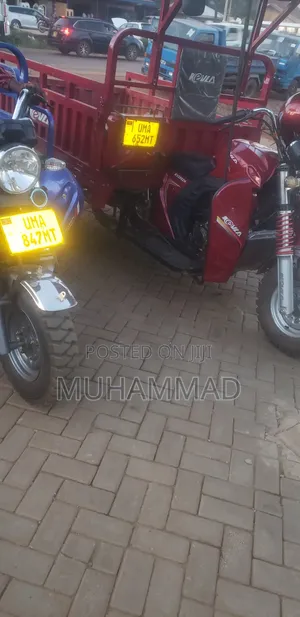 Tuktuk Guy