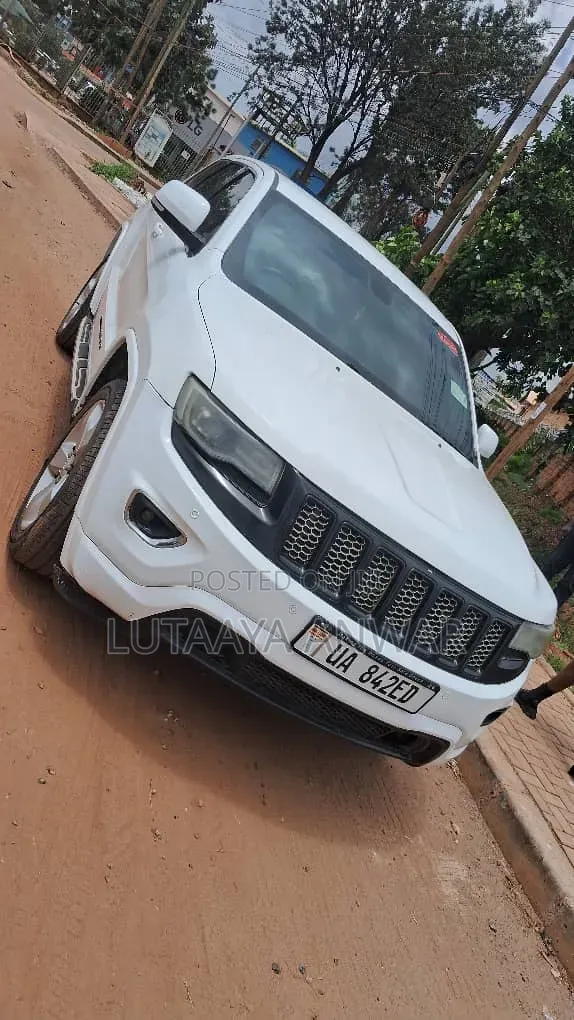 Jeep Cherokee Sport 4dr SUV (2.4L 4cyl 9A) 2015 White