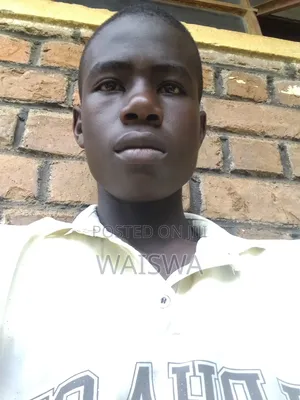 I Write Winning CVS for CVs -5k Only -Fast Delivery in Kampala Today