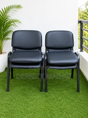 Executive Office Chairs