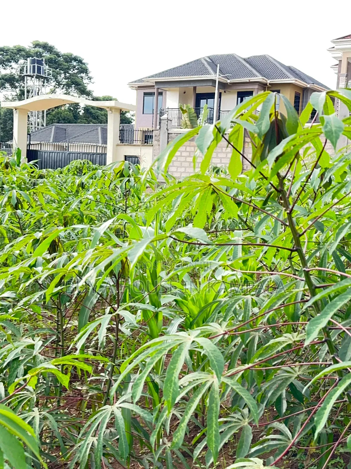 Kira Nabusugwe 100×100feet Plot of Land for Sale