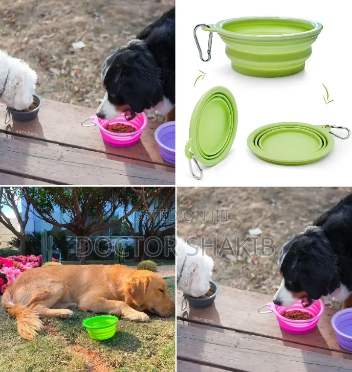 Collapsible Dog Bowl for Cats Dogs