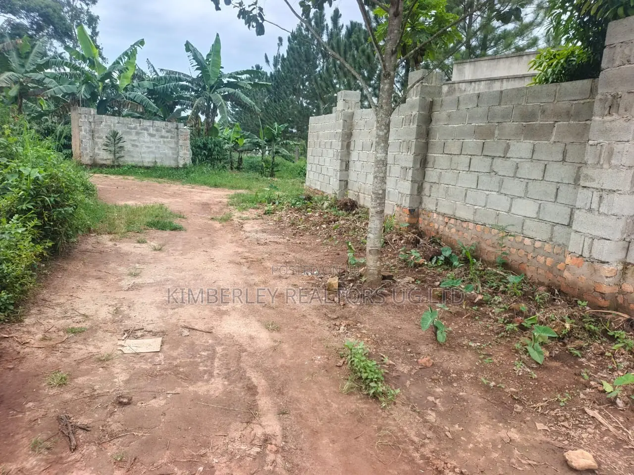  54 Decimals of Land for Sale – Quick Sale 