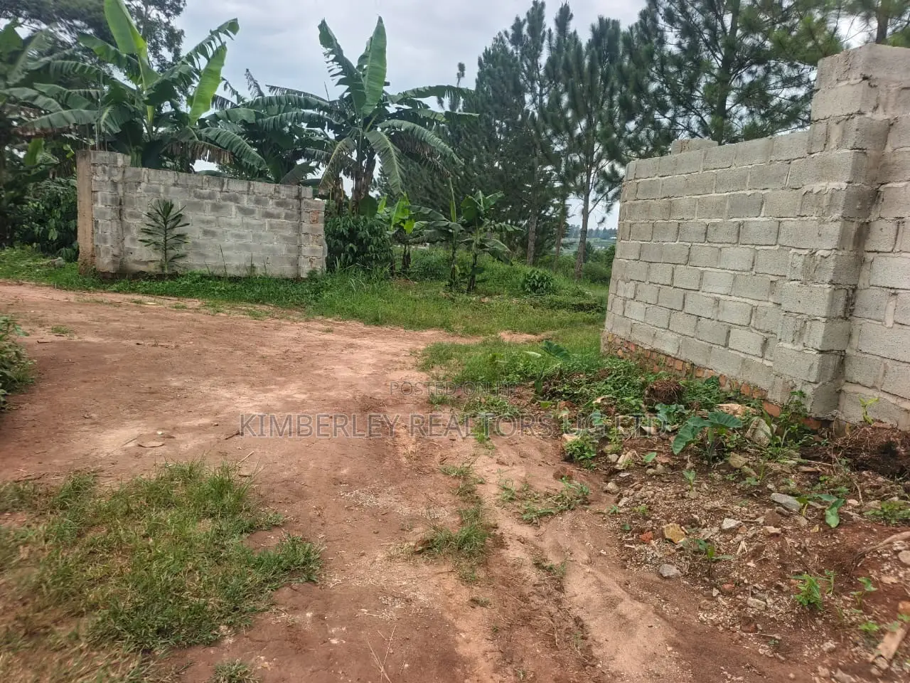  54 Decimals of Land for Sale – Quick Sale 