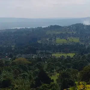  8 Acres of Land for Sale – Mukono Wakisi