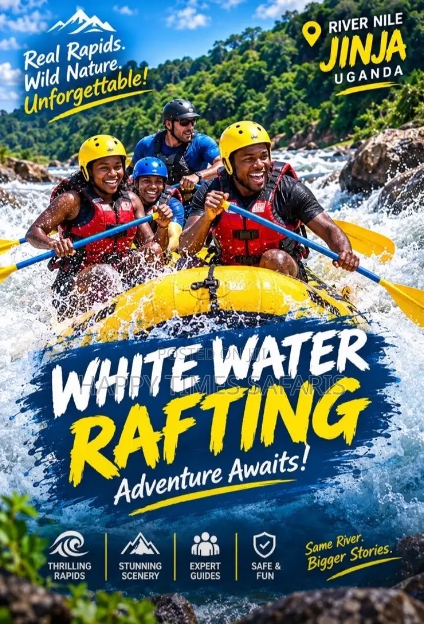 Tours/Safaris