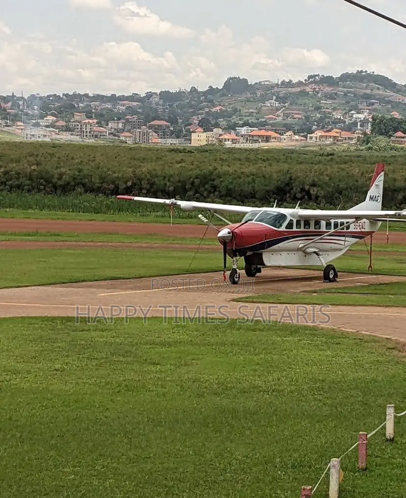 Tours/Safaris