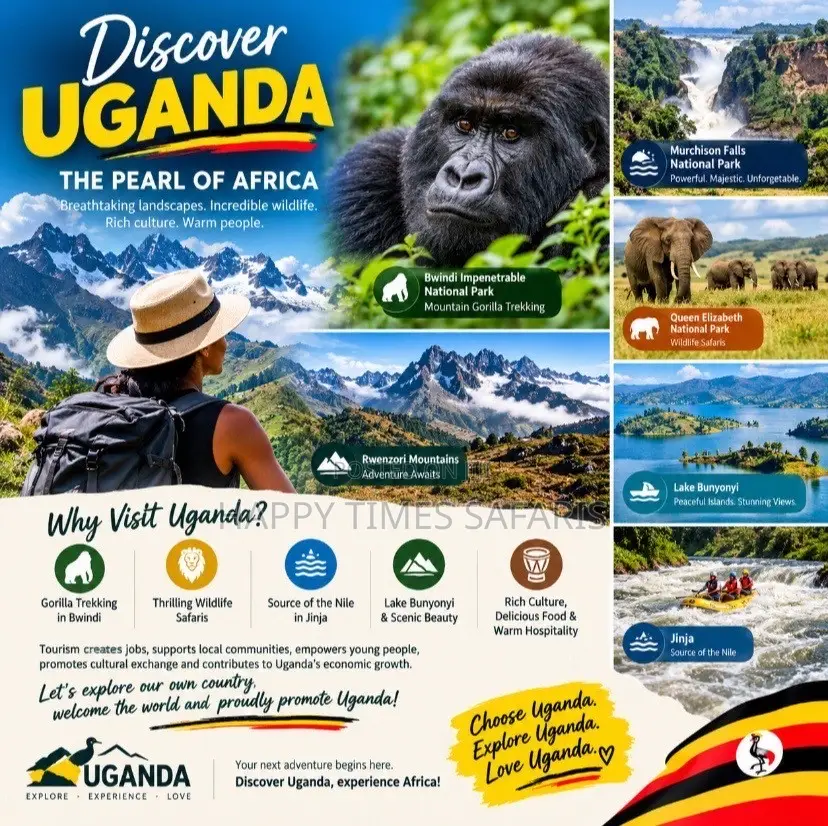 Tours/Safaris