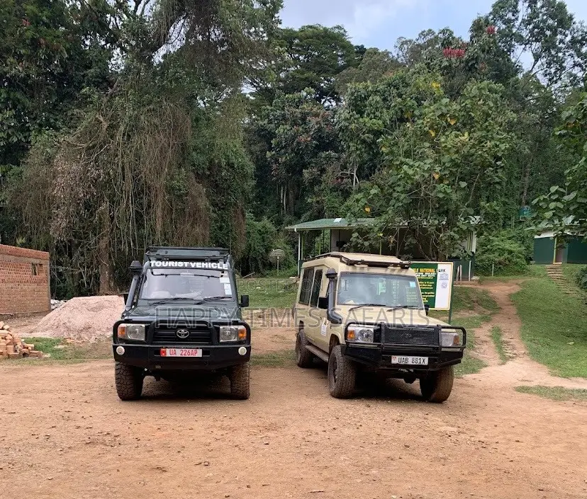 Tours/Safaris