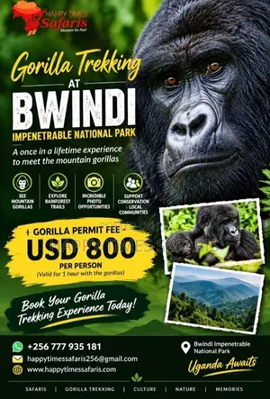 Tours/Safaris