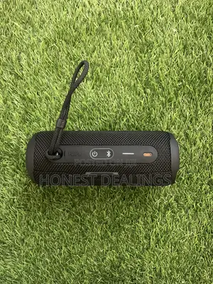 JBL Flip 6