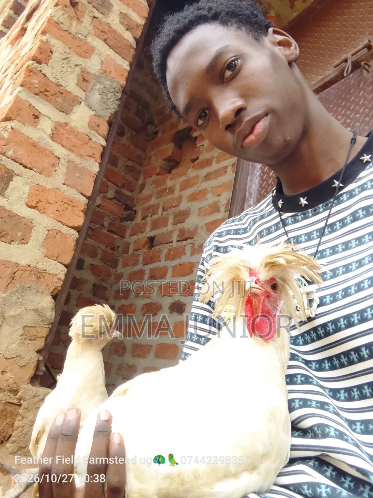 Polish Chicken