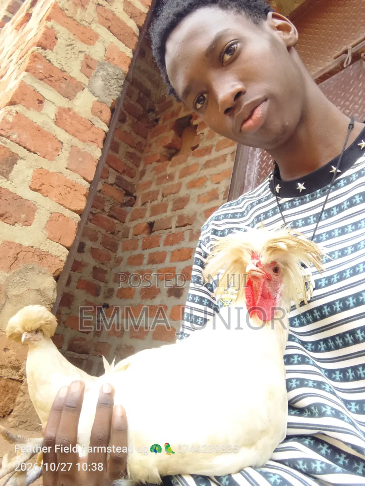 Polish Chicken