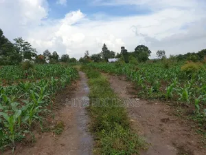 Farm Land Along Semuto Road