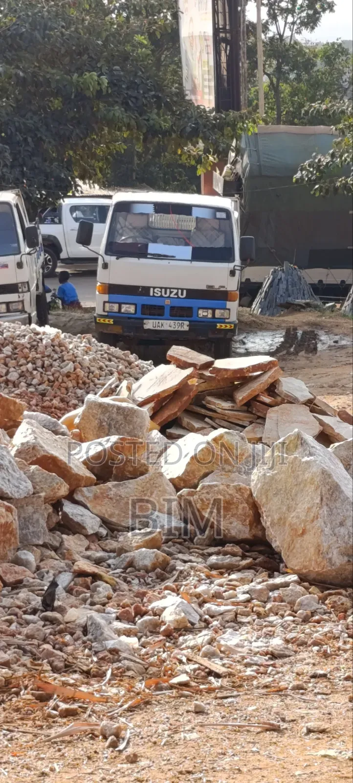 Isuzu Dump Truck