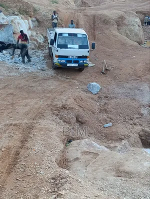Isuzu Dump Truck