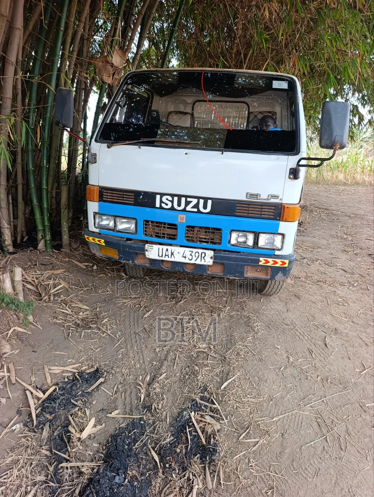 Isuzu Dump Truck