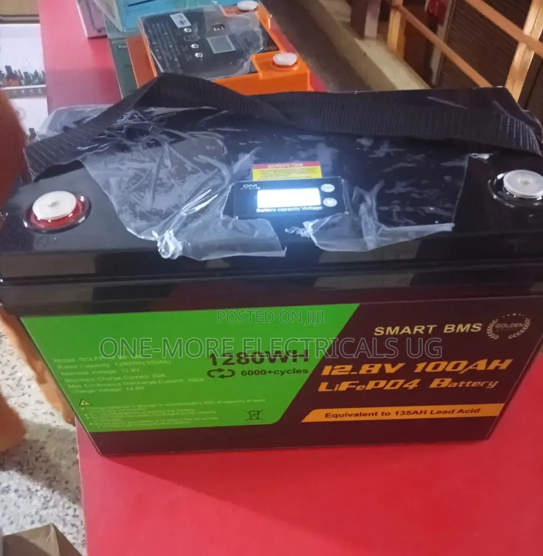 Smart Lithium Battery 100ah/12.8volts.