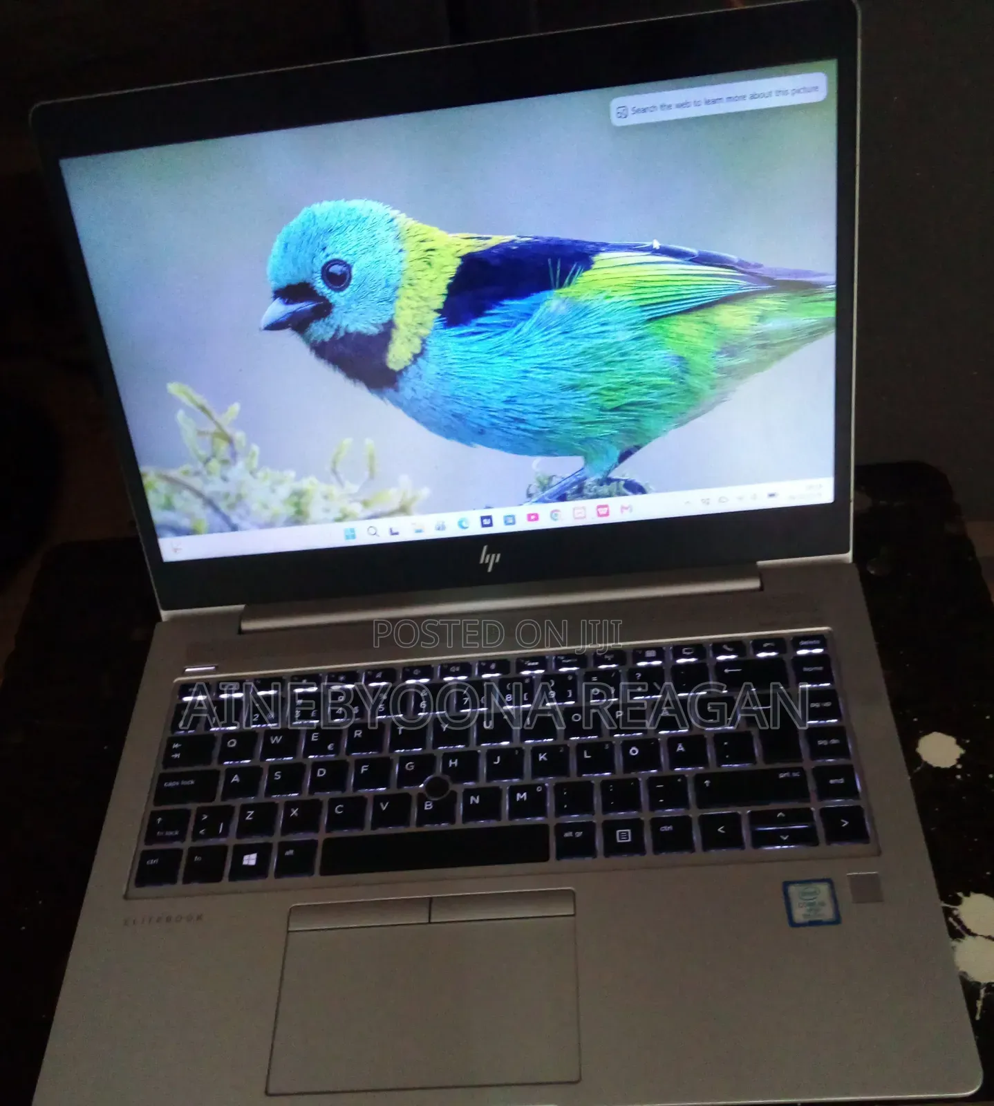 Laptop HP EliteBook 840 G5 8GB Intel Core i5 SSD 250GB