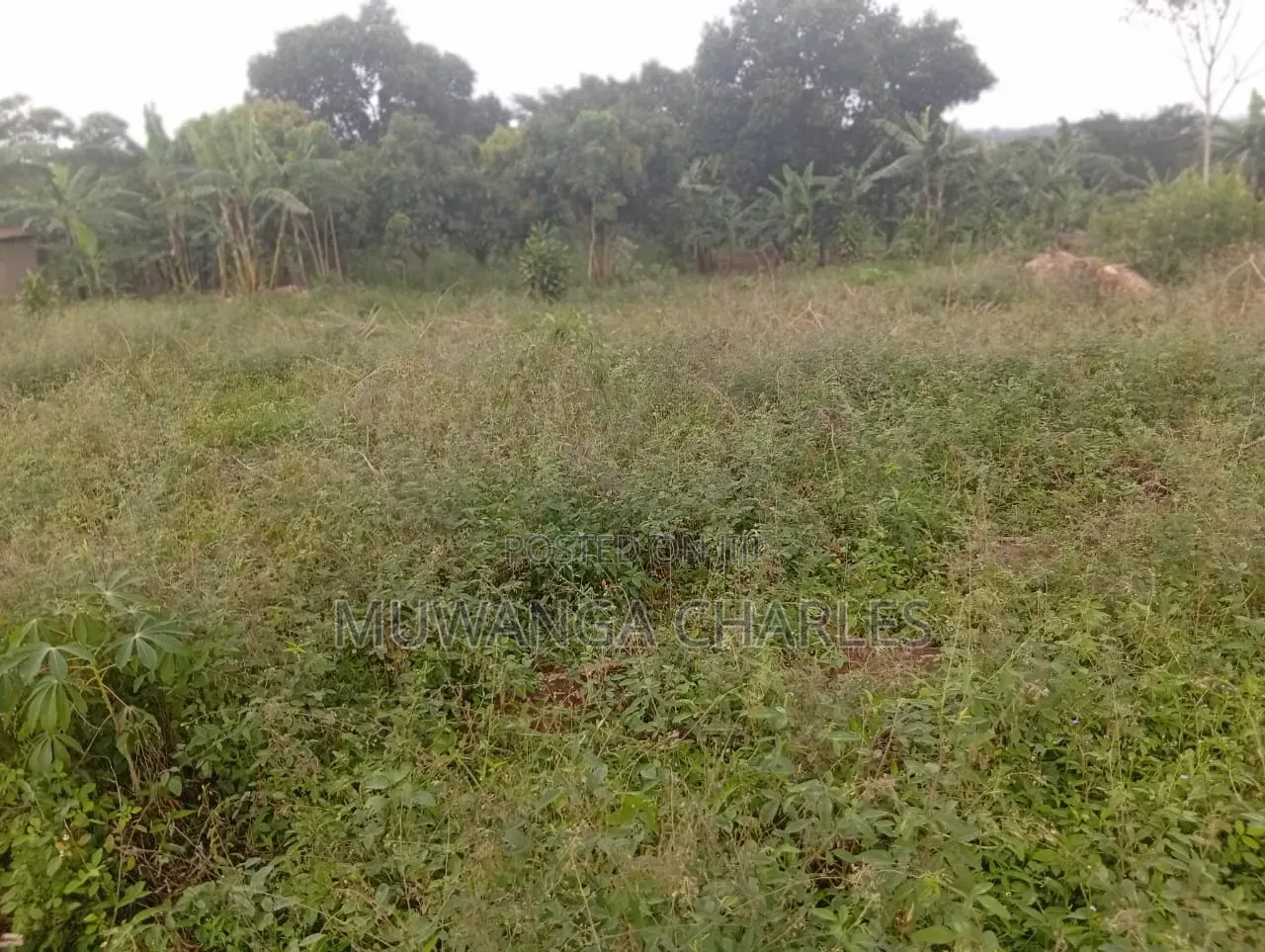 Land Available to Sale Zirobwe Tokekulu