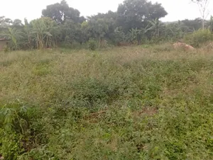 Land Available to Sale Zirobwe Tokekulu