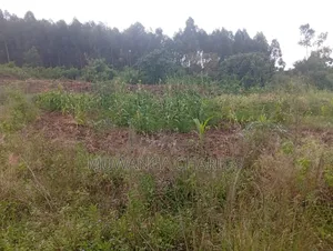 Land Available to Sale Zirobwe Tokekulu