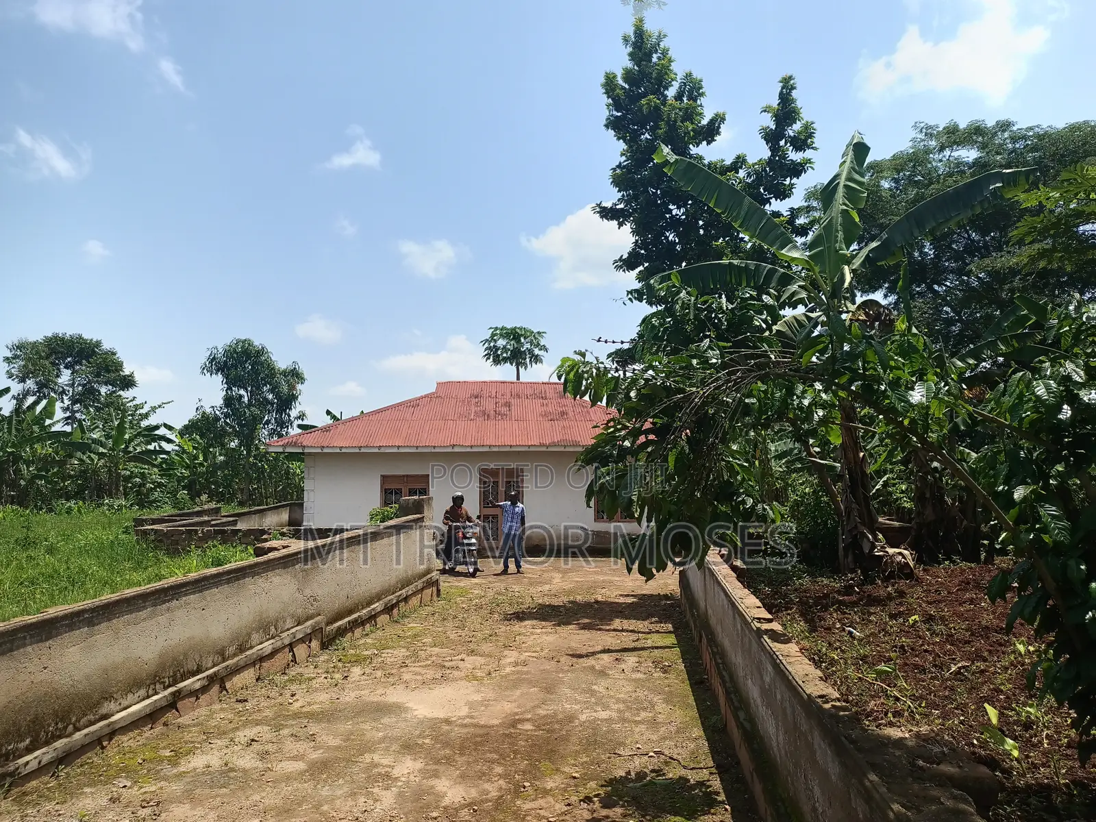 4 Acres With 2 Houses for Sale in Bombo Kalure