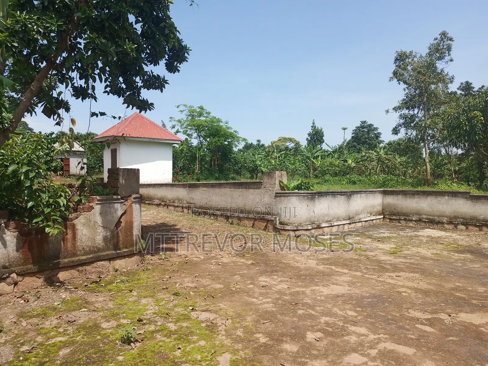 4 Acres With 2 Houses for Sale in Bombo Kalure