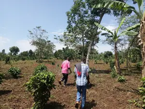 4 Acres With 2 Houses for Sale in Bombo Kalure