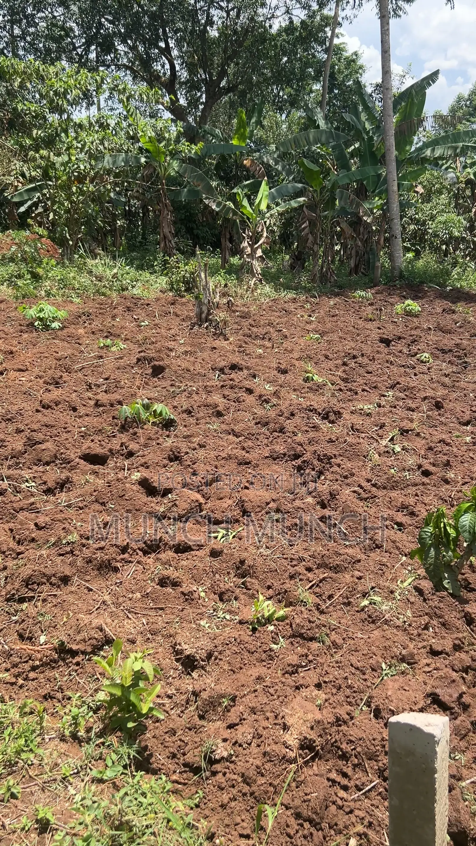 30by50 Feet Plot of Land