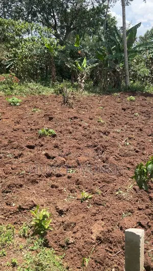 30by50 Feet Plot of Land